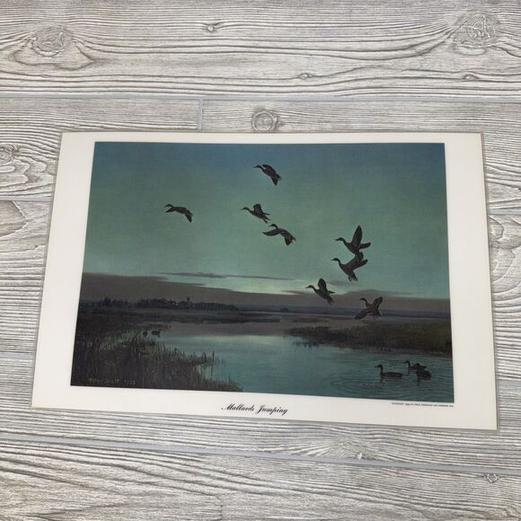 Peter Scott Waterfowl Laminated Placemats Lot Of 6 Vintage 1953 Ducks Geese - Picture 8 of 16